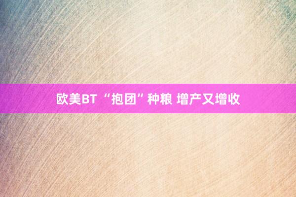 欧美BT “抱团”种粮 增产又增收