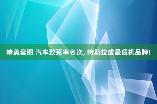 精美套图 汽车致死率名次， 特斯拉成最危机品牌!