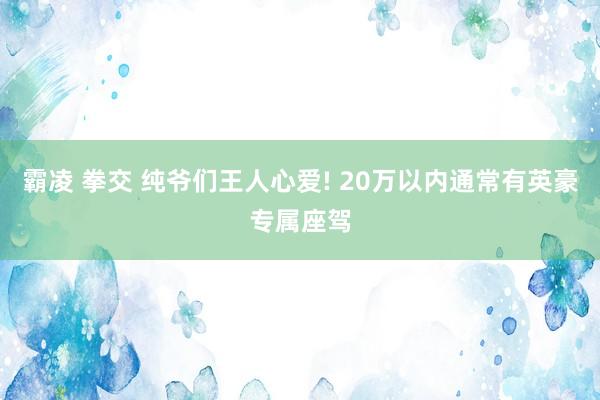 霸凌 拳交 纯爷们王人心爱! 20万以内通常有英豪专属座驾