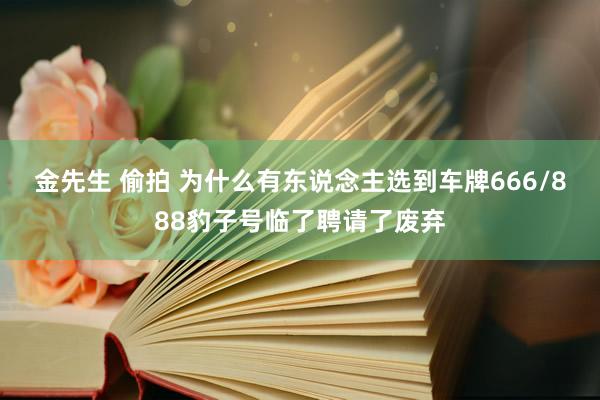 金先生 偷拍 为什么有东说念主选到车牌666/888豹子号临了聘请了废弃