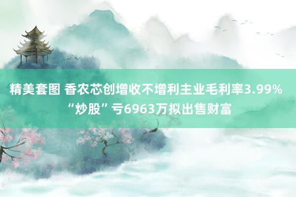 精美套图 香农芯创增收不增利主业毛利率3.99% “炒股”亏6963万拟出售财富