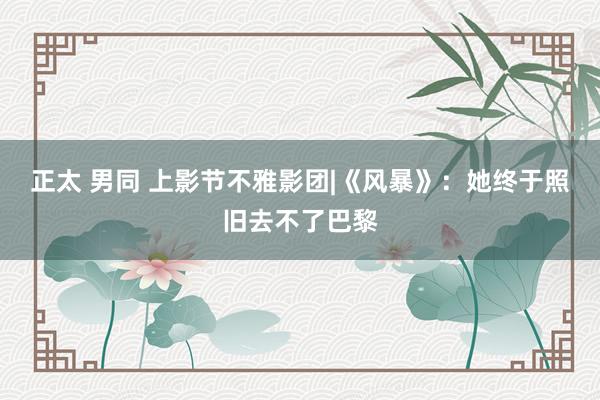 正太 男同 上影节不雅影团|《风暴》：她终于照旧去不了巴黎